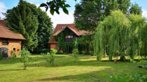 Moniówka, Nowe Kawkowo